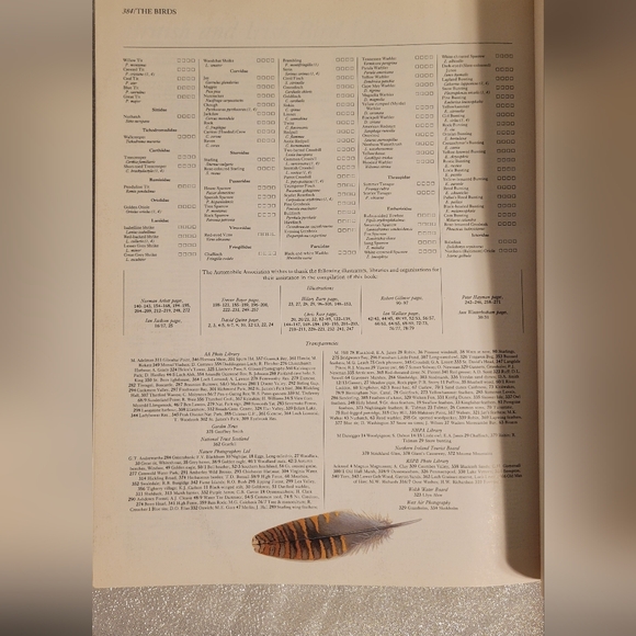 1992 Softback book The Complete Book of British Birds - Picture 11 of 11